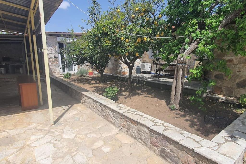 FofolaConfortable House In Natureアパートメント エクステリア 写真